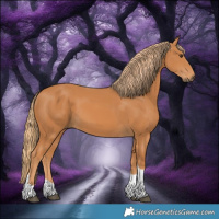 Horse Color:Chestnut Tobiano 
