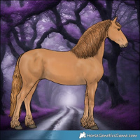 Horse Color:Chestnut Rabicano 