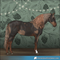 Horse Color:Liver Red Dun  and Liver Chestnut 