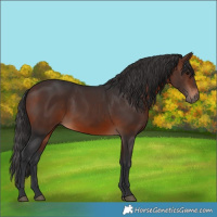 Horse Color:Brown 
