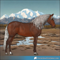 Horse Color:Silver Brown 