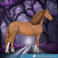 Horse Color:Chestnut Tobiano 