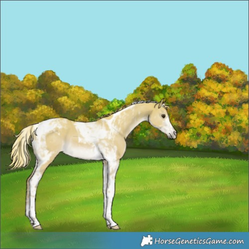 Horse Color:Watercolor Liver Red Dun Tobiano 