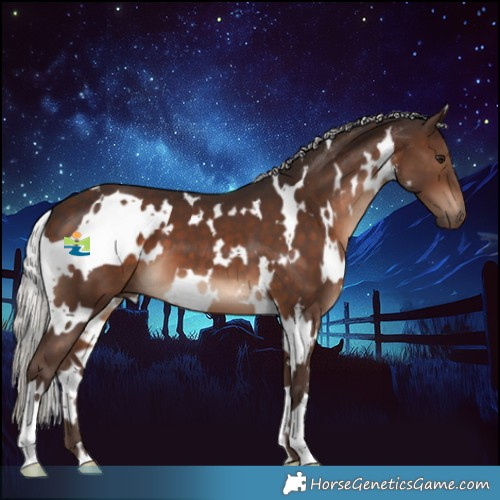 Horse Color:White Spotted Silver Brown 
