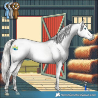 Horse Color:Gray Silver Buckskin Splash Tobiano Appaloosa 