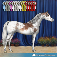Horse Color:Gray Silver Bay Splash Tobiano Varnish 