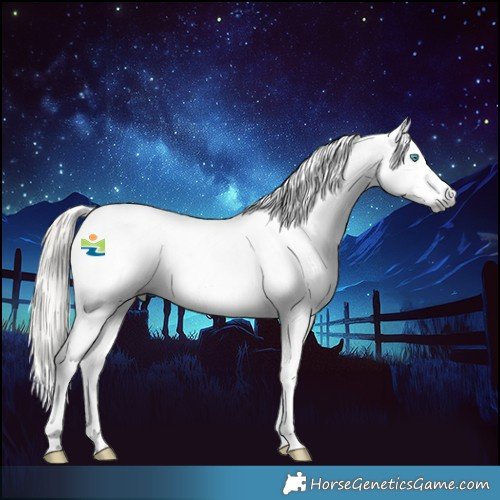 Horse Color:Gray Silver Smoky Black Splash Tobiano Appaloosa 