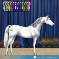 Horse Color:Gray Silver Smoky Black Splash Tobiano Appaloosa 