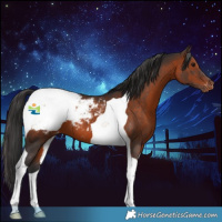 Horse Color:Brown Tobiano Snowcap 