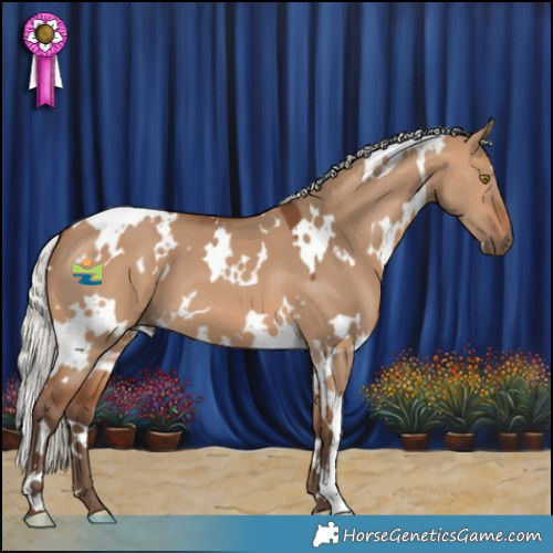 Horse Color:White Spotted Silver Brown Dun 