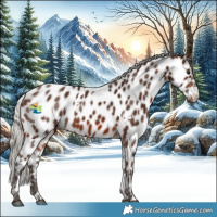 Horse Color:White Spotted Silver Brown Mushroom Appaloosa 