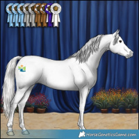 Horse Color:Gray Silver Black Splash Tobiano Varnish 