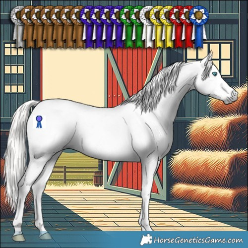 Horse Color:Gray Silver Buckskin Splash Tobiano Appaloosa 