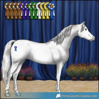 Horse Color:Gray Silver Buckskin Splash Tobiano Appaloosa