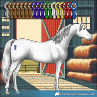 Horse Color:Gray Silver Buckskin Splash Tobiano Appaloosa 