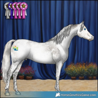 Horse Color:Gray Silver Buckskin Splash Tobiano Appaloosa 