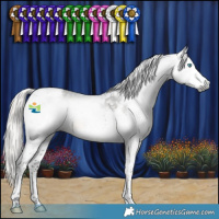 Horse Color:Gray Silver Smoky Black Splash Tobiano Appaloosa 