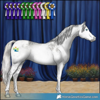 Horse Color:Gray Silver Smoky Black Splash Tobiano Appaloosa 