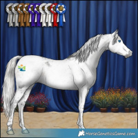 Horse Color:Gray Silver Smoky Black Splash Tobiano Appaloosa 