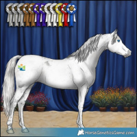 Horse Color:Gray Silver Smoky Black Splash Tobiano Appaloosa