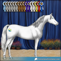 Horse Color:Gray Silver Smoky Black Splash Tobiano Appaloosa 