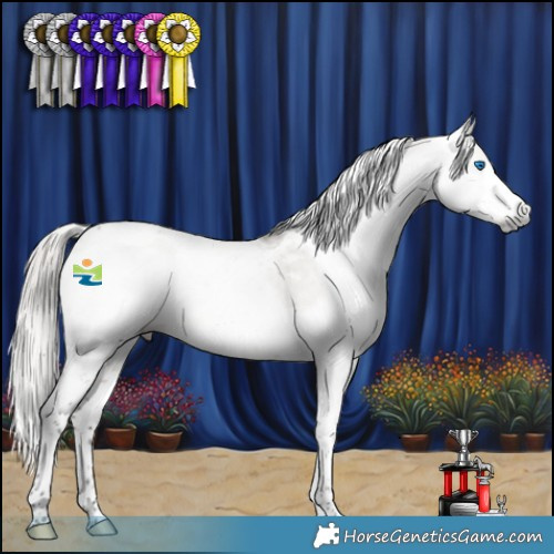 Horse Color:Gray Silver Smoky Grullo Splash Tobiano Appaloosa 