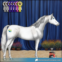 Horse Color:Gray Silver Smoky Grullo Splash Tobiano Appaloosa