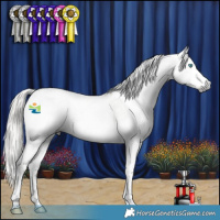 Horse Color:Gray Silver Smoky Grullo Splash Tobiano Varnish 