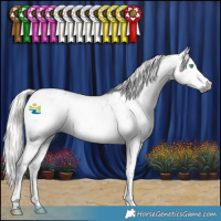 Horse Color:Gray Silver Smoky Black Splash Tobiano Appaloosa