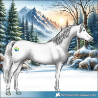 Horse Color:Gray White Spotted Silver Black Splash Tobiano Appaloosa 