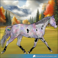 Horse Color:Nacre White Spotted Chocolate Palomino Pearl Dun Sabino