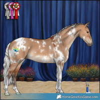 Horse Color:White Spotted Silver Bay Dun Tobiano 