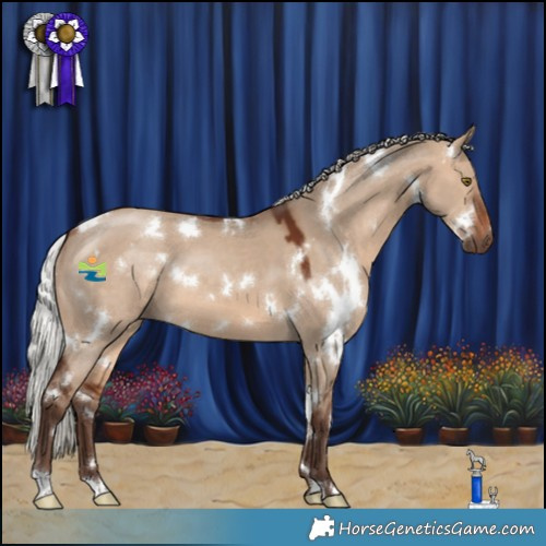 Horse Color:White Spotted Silver Brown Dun 