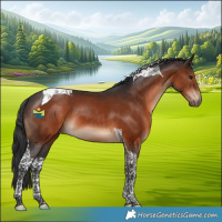 Horse Color:Brown Tobiano 