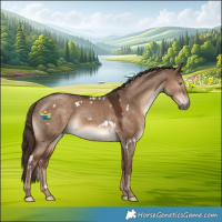 Horse Color:White Spotted Liver Red Dun 