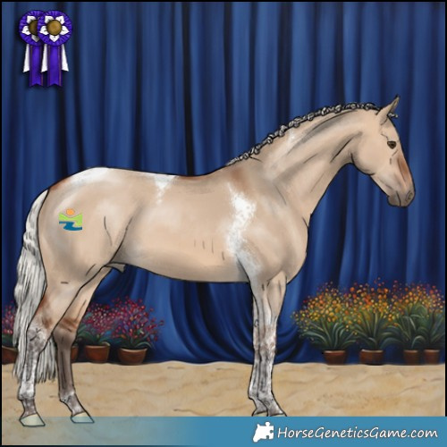 Horse Color:Silver Brown Dun Tobiano 