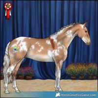 Horse Color:White Spotted Silver Bay Dun Tobiano 