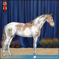 Horse Color:White Spotted Red Dun Tobiano 