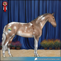 Horse Color:White Spotted Silver Brown Dun Tobiano 