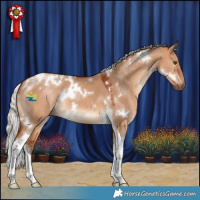 Horse Color:White Spotted Silver Bay Dun Tobiano 