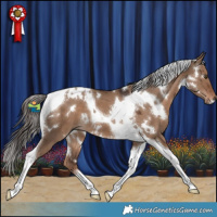 Horse Color:White Spotted Liver Red Dun Tobiano 