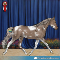 Horse Color:White Spotted Liver Red Dun Mushroom Tobiano 