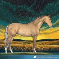 Horse Color:Silver Sable Cream Champagne Rabicano 