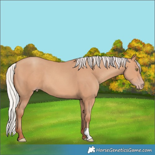 Horse Color:Silver Sable Champagne 