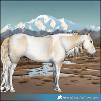 Horse Color:Gray Palomino Dun Tobiano Rabicano 
