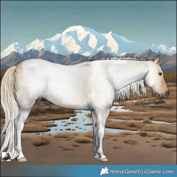 Horse Color:Gray Palomino Dun Tobiano Rabicano