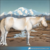 Horse Color:Gray Palomino Dun Tobiano Rabicano 