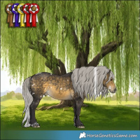 Horse Color:White Spotted Silver Buckskin Tobiano 