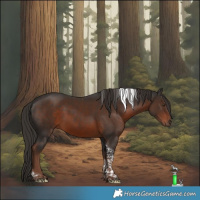 Horse Color:Liver Chestnut Tobiano 