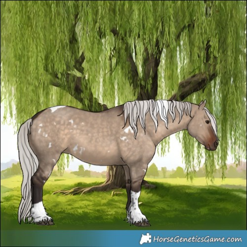 Horse Color:White Spotted Silver Brown Dun Tobiano 